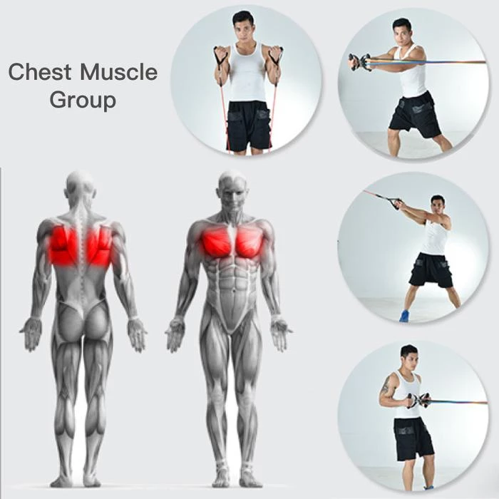 Resistance Band Set ( 11 Piece Set )-Buy 2 Free Shipping