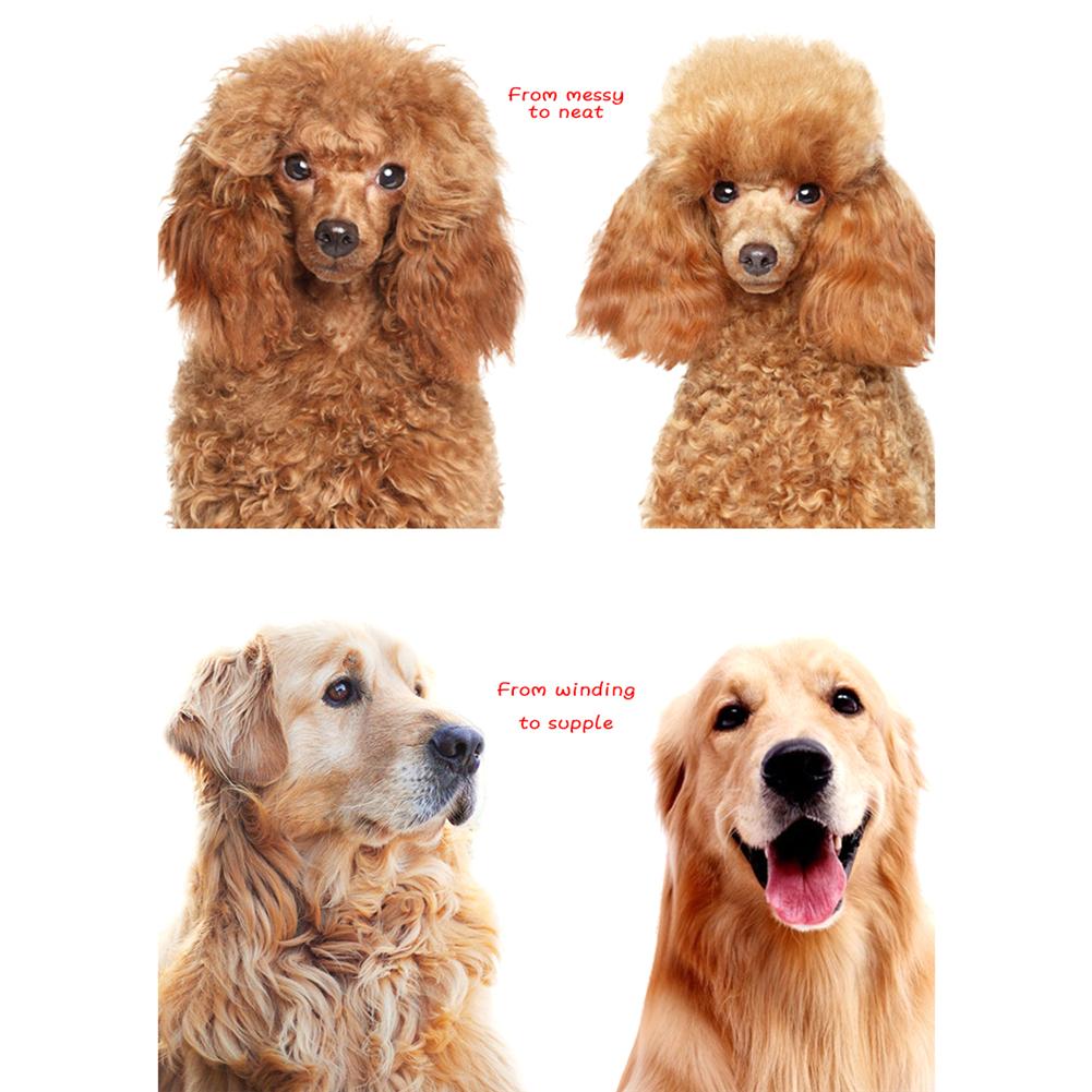 Pets Professional Beauty Brush For Cats & Dogs